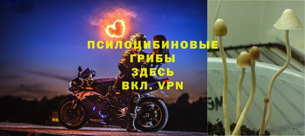 спайс Карпинск