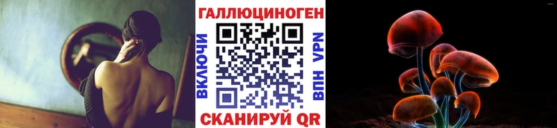 продажа наркотиков  Димитровград  Псилоцибиновые грибы мицелий 